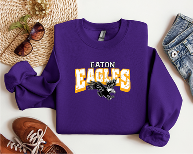 Eaton Eagles Distressed Purple Apparel