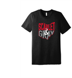 Scarlet and Gray Apparel